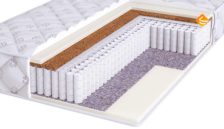 SPRING Soft Cocos S1200